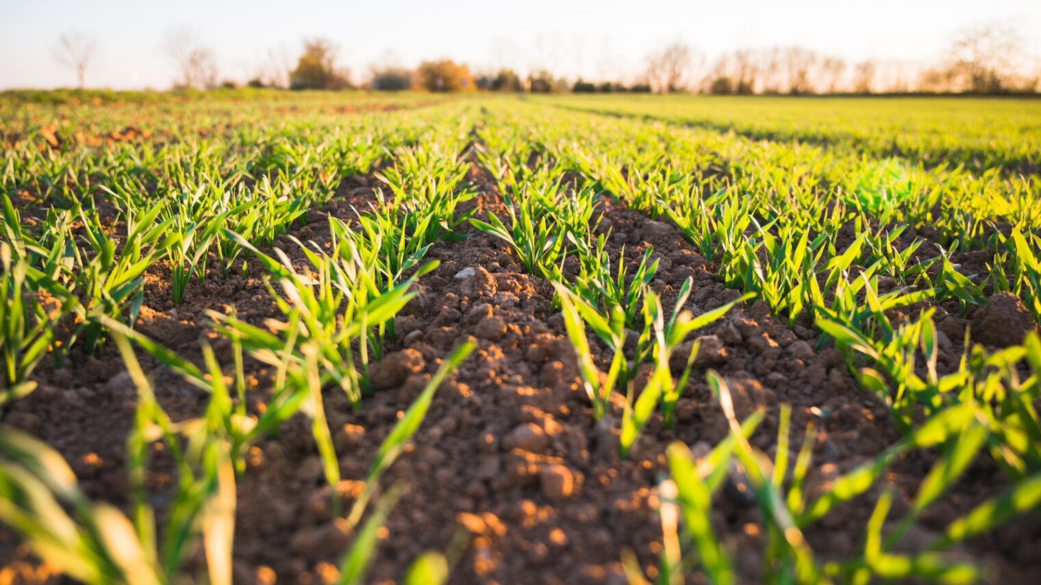 jan kopriva unsplash 1520x855 1